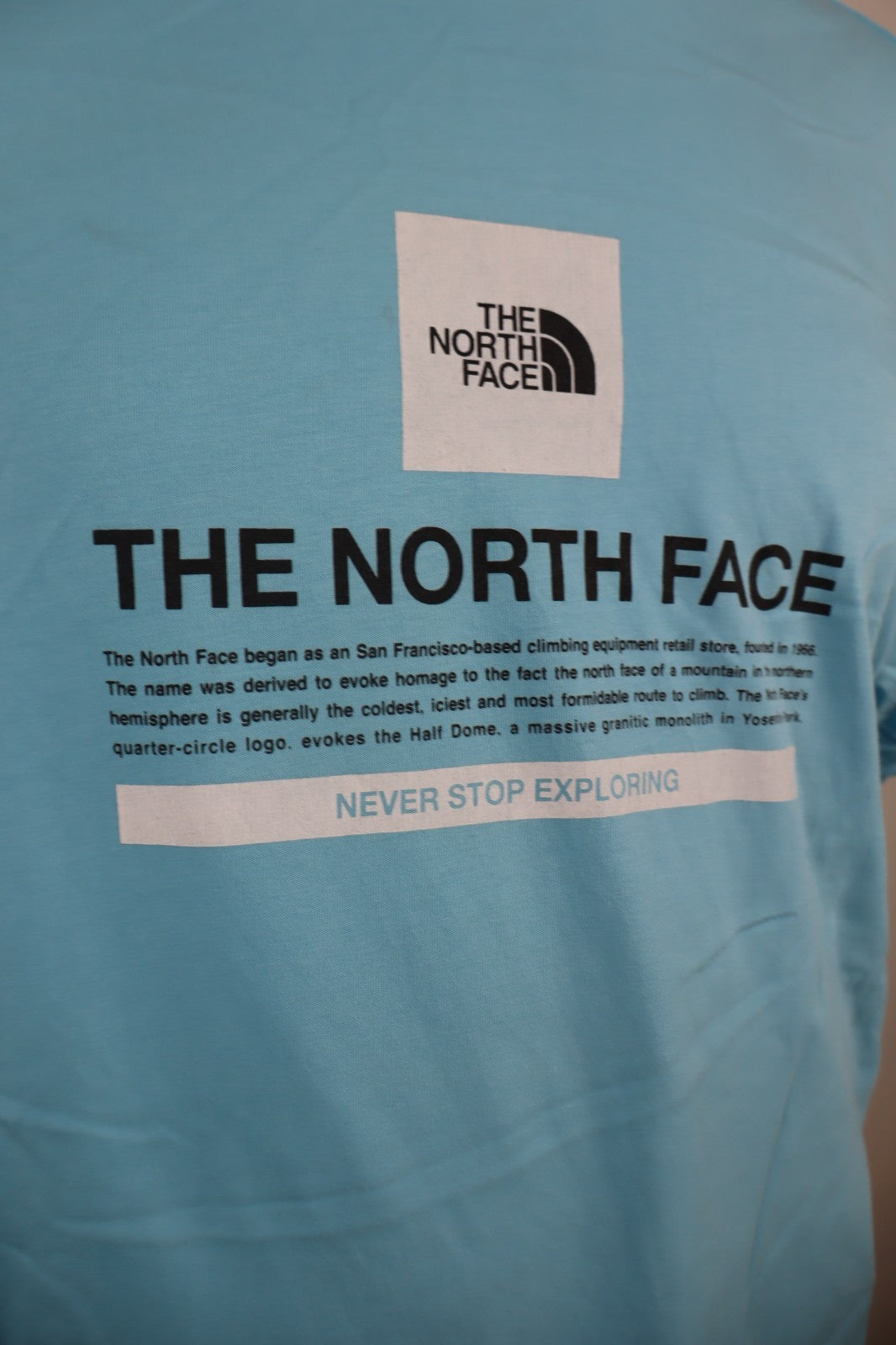 THE NORTH FACE MAGLIA UOMO COTONE TG L MAN COTTON T-SHIRT CASUAL VINTAGE LOGO