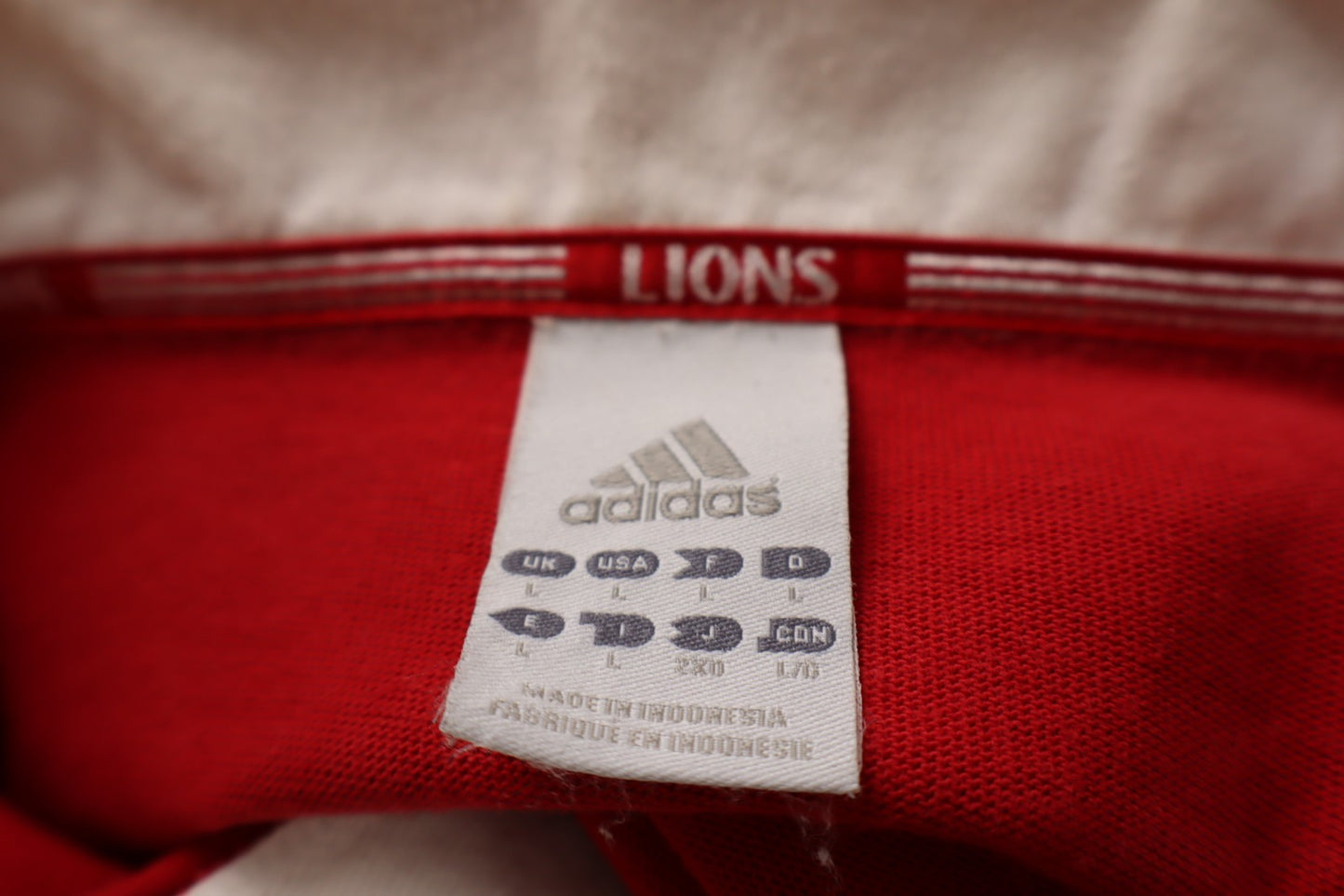 ADIDAS LIONS POLO MAGLIA RUGBY SUDAFRICA UOMO Tg L  JERSEY VINTAGE SPORT