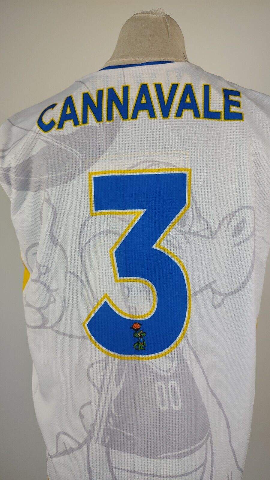 STABIA CANNAVALE N. 3 CANOTTA DONNA BASKET INDOSSATA TG M SPORT DOUBLE-FACE