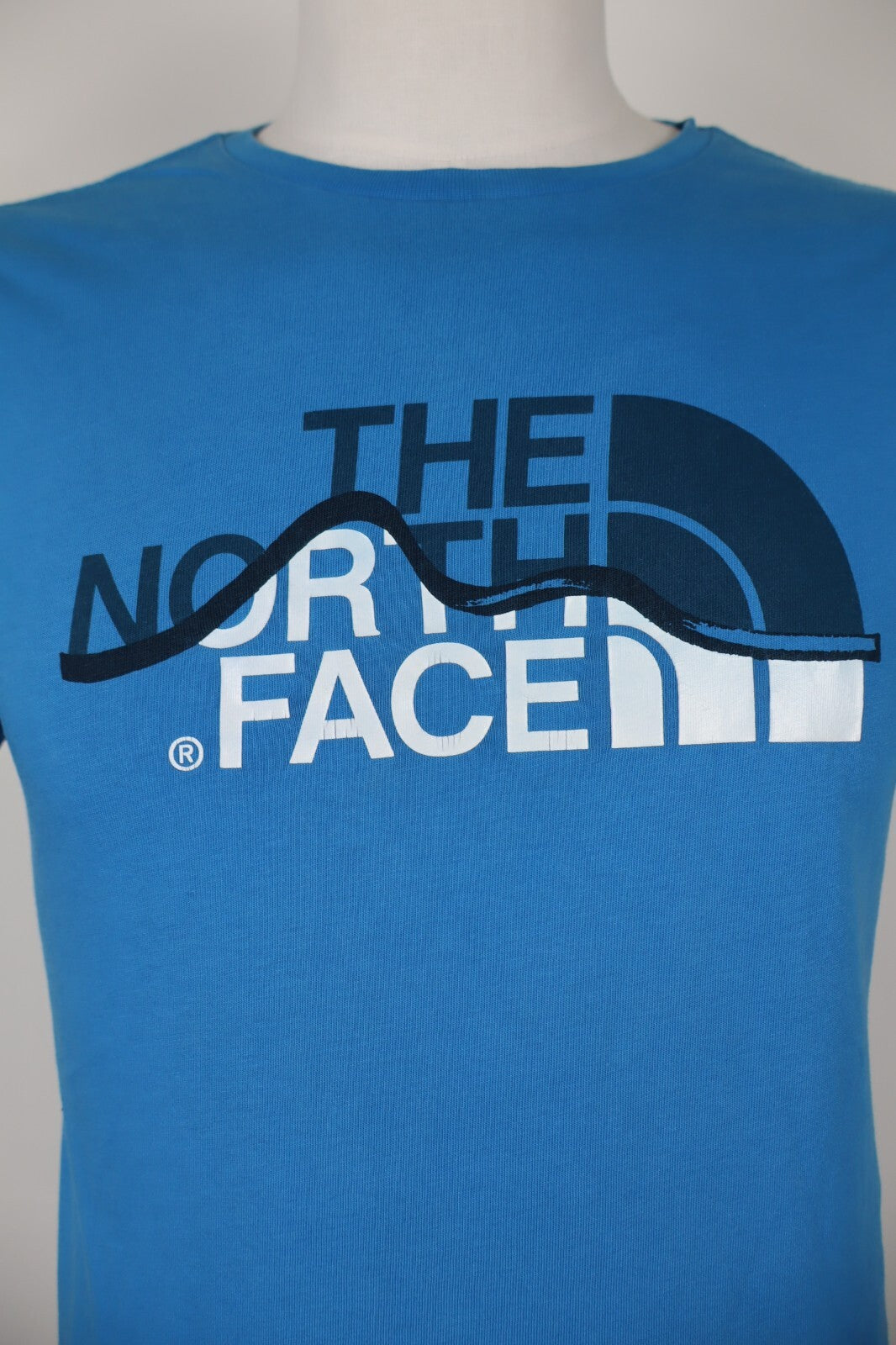 THE NORTH FACE MAGLIA UOMO TG S MAN T-SHIRT COTTON CASUAL VINTAGE COTONE