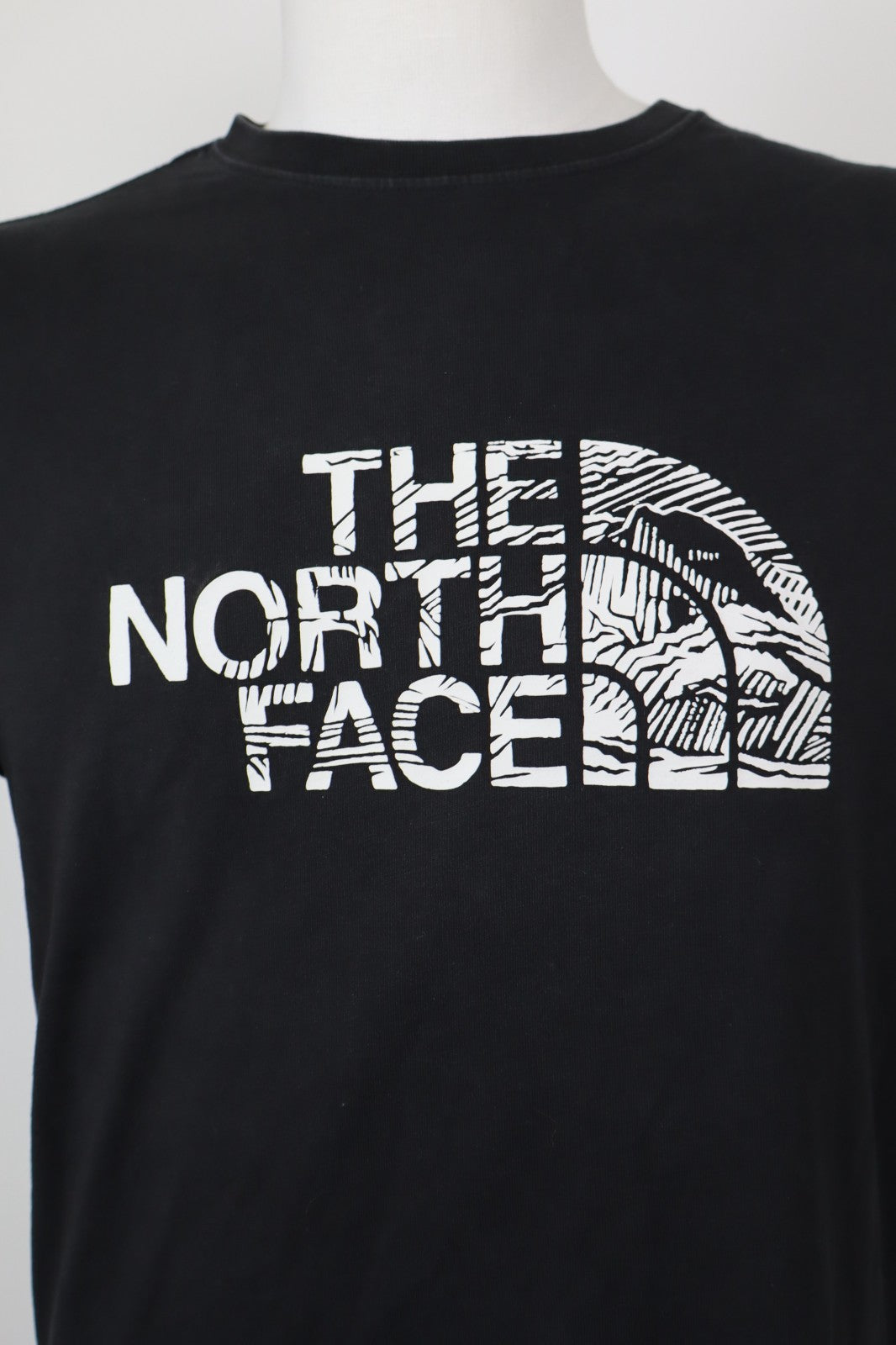 THE NORTH FACE MAGLIA COTONE UOMO TG L MAN T-SHIRT VINTAGE CASUAL COTTON